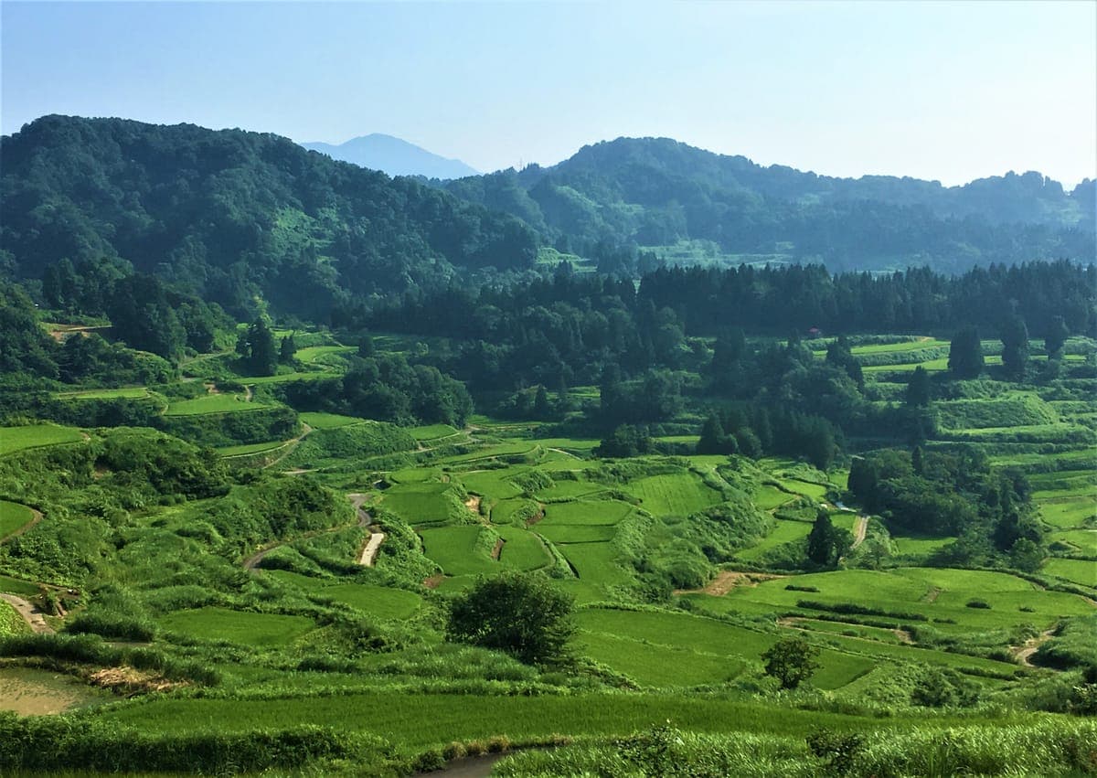 Hoshitoge Rice Terraces