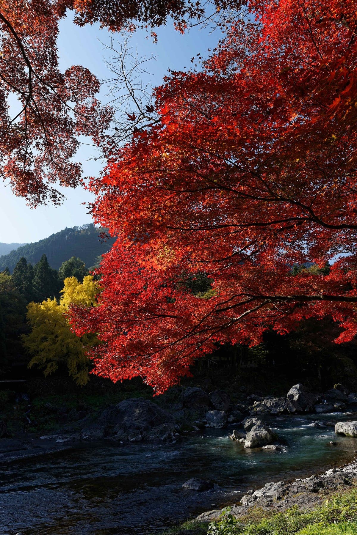 Mitake Valley Gorge