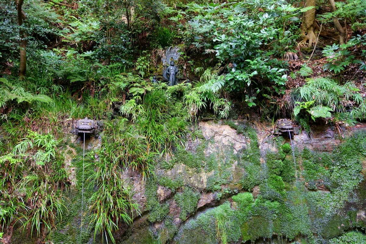 Todoroki Valley Ravine