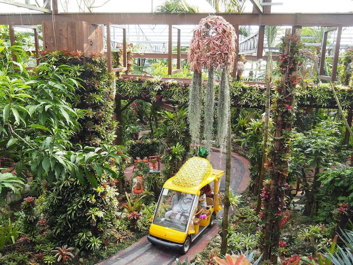 Nago Pineapple Park