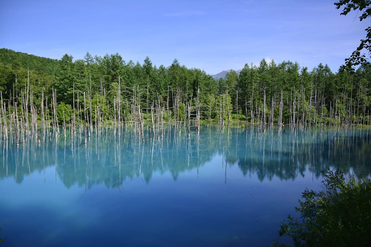 Biei Blue Pond