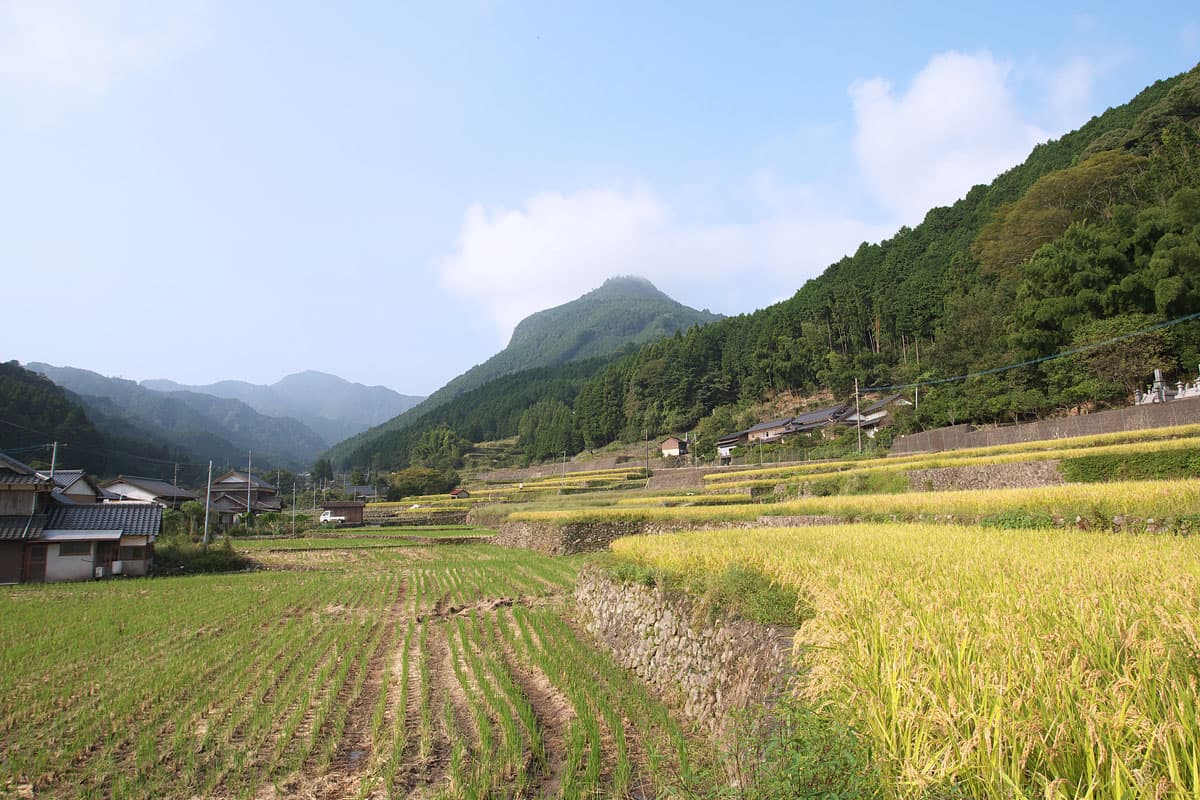 Kubote Mountain Worship Trail
