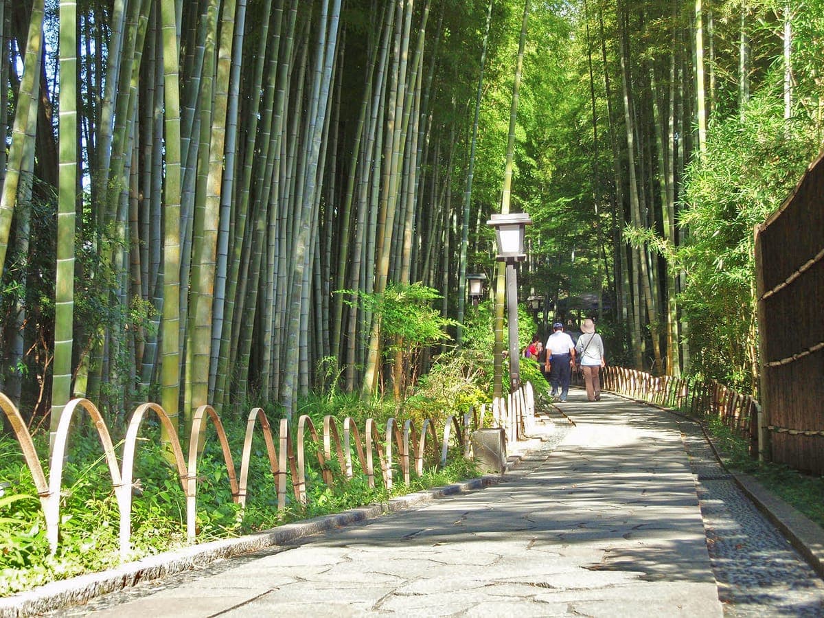Bamboo Forest Path and Shuzenji Temple