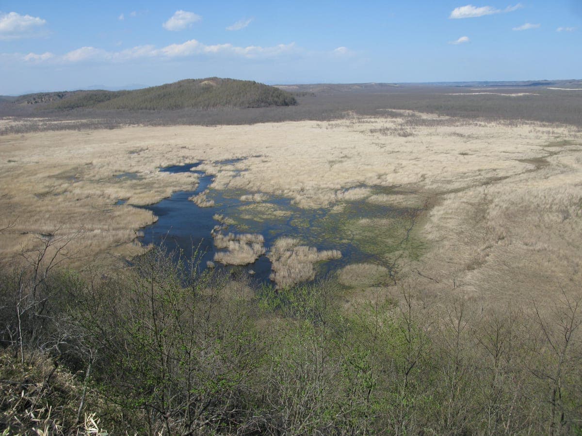 Kottaro Marsh Observatory