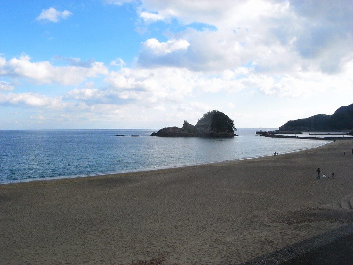 Ohama Beach (Hiwasa sea-turtle beach)