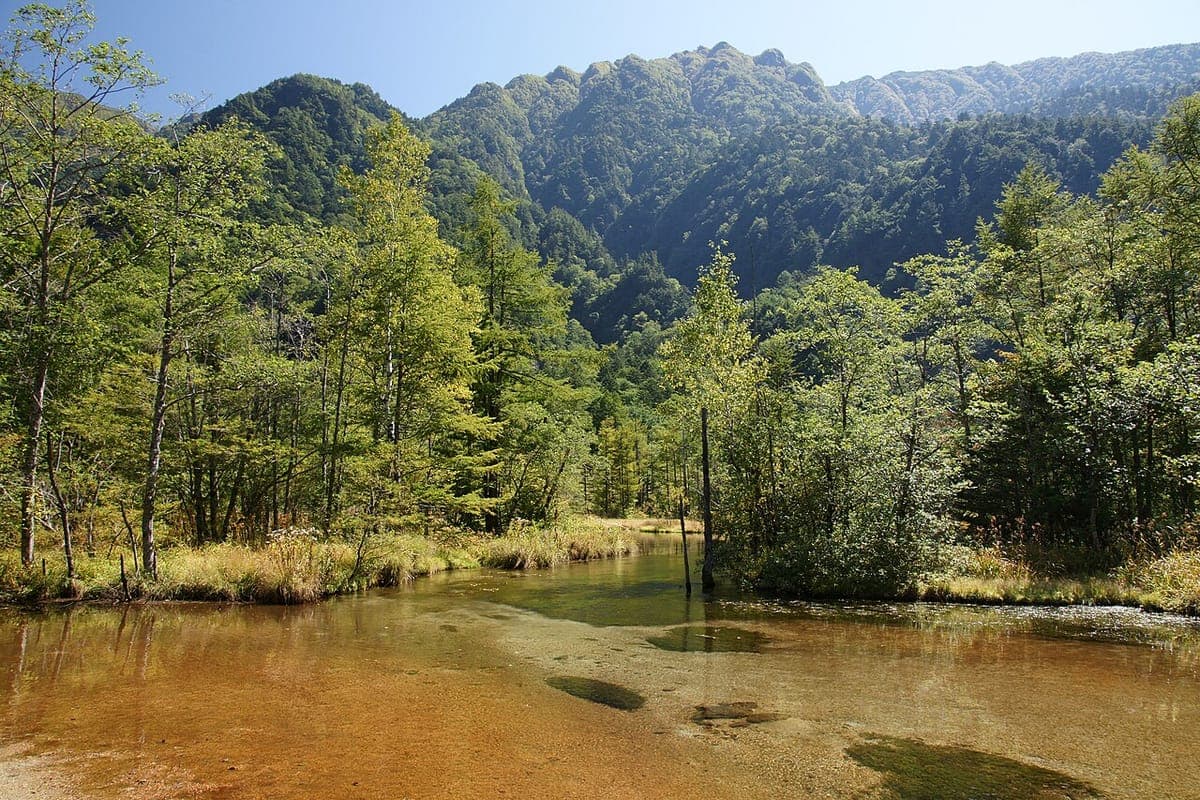 Tashiro Pond
