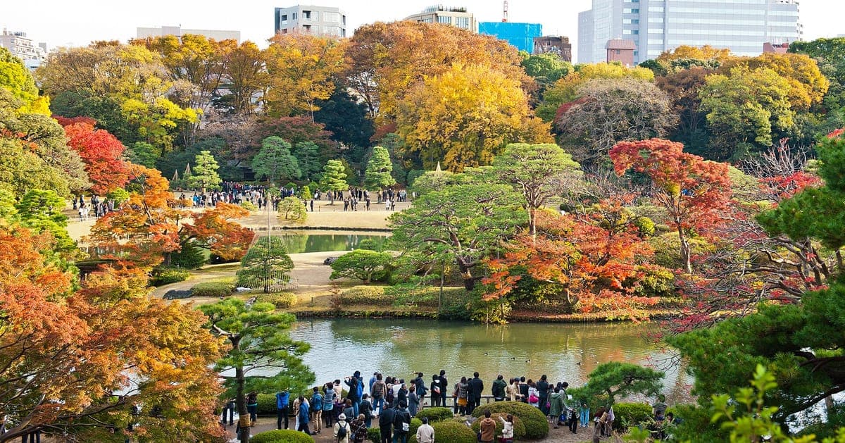 Rikugien Garden