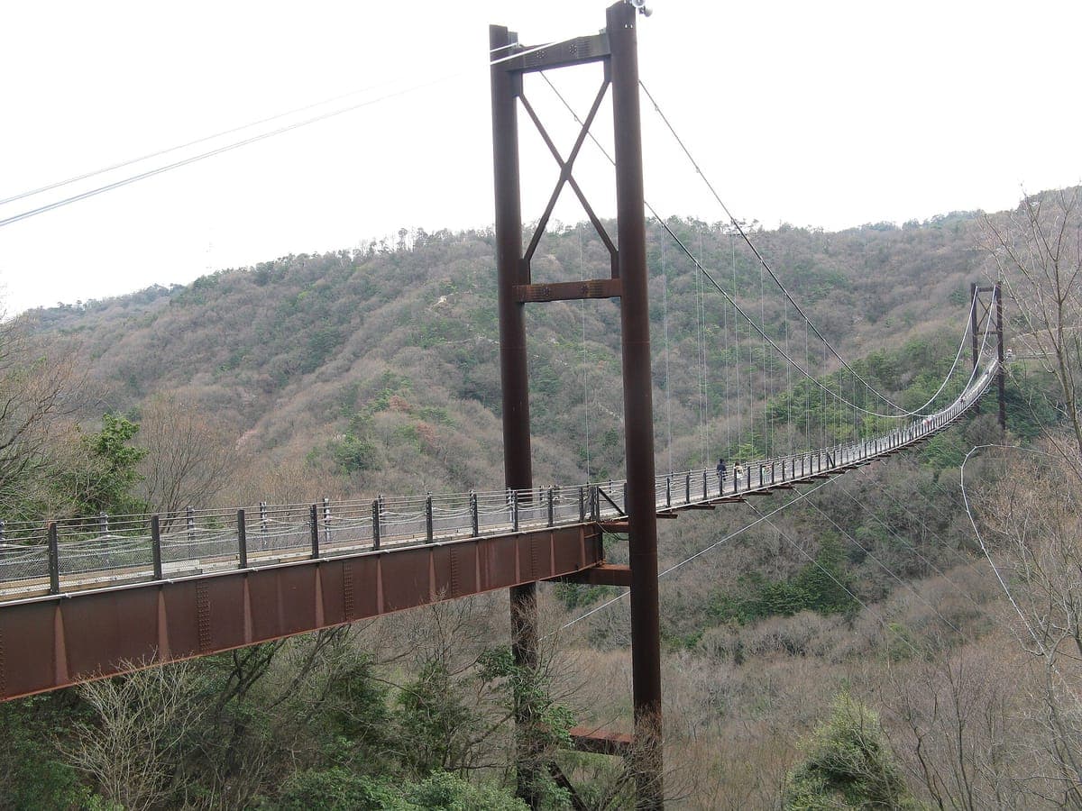 Hoshi no Buranko (Star Swing Bridge)