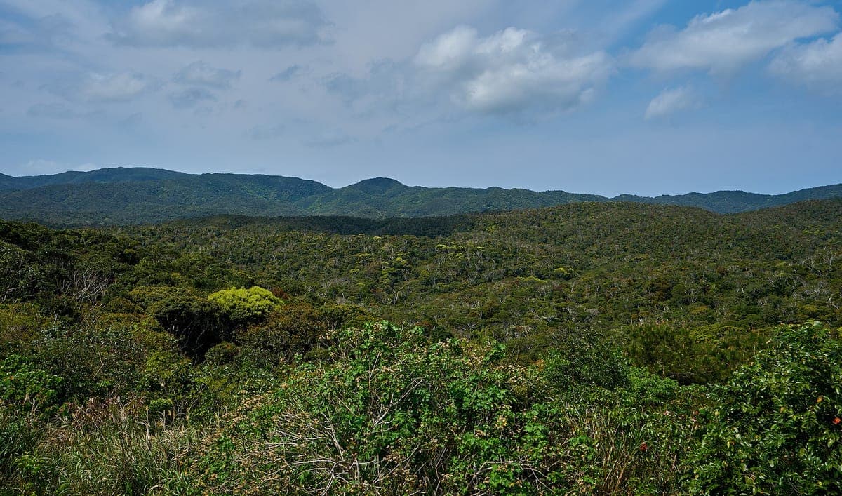 Yanbaru National Park