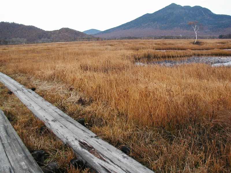Hatomachi Pass (Oze National Park gateway)