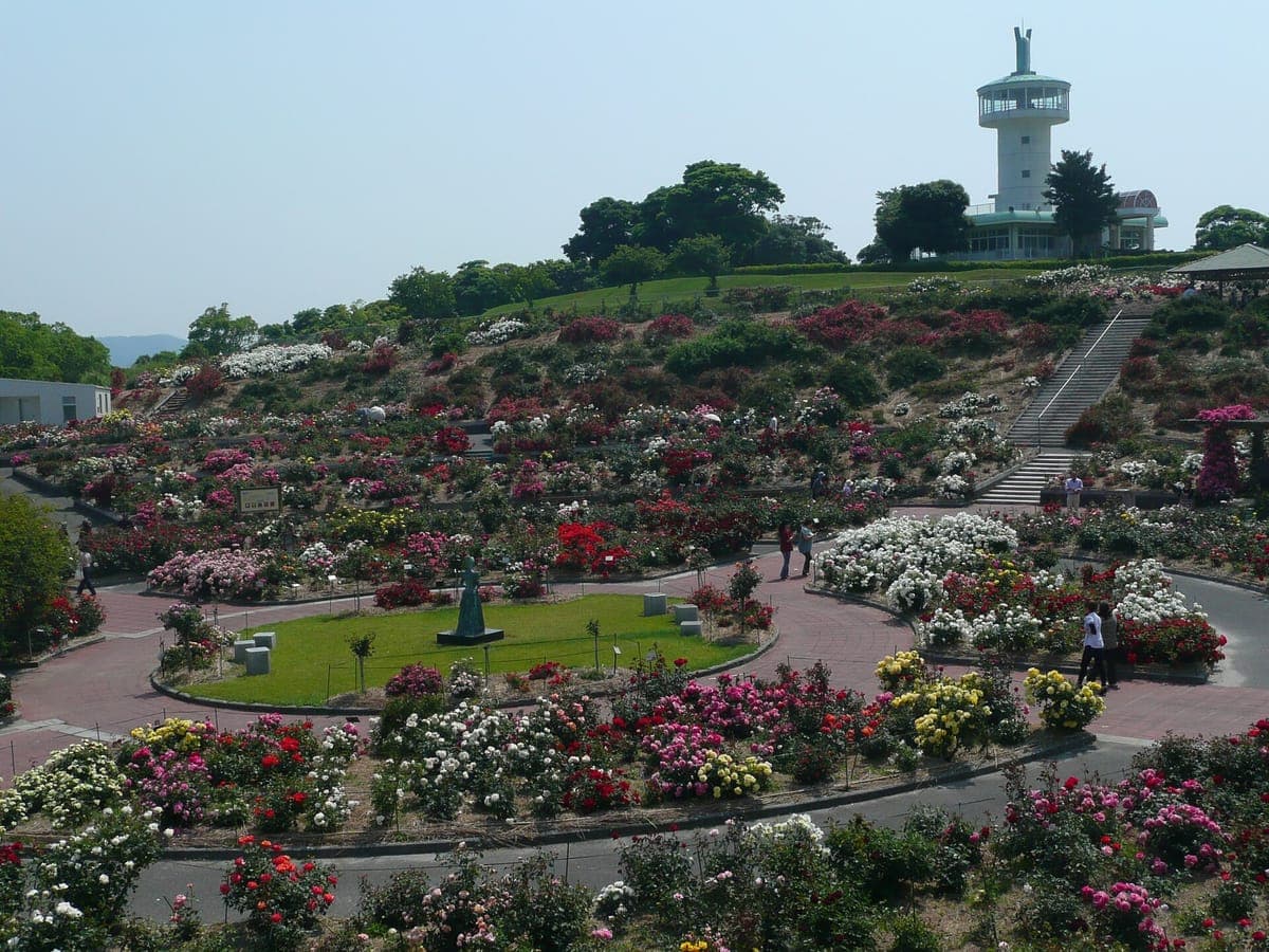 Kanoya Rose Garden