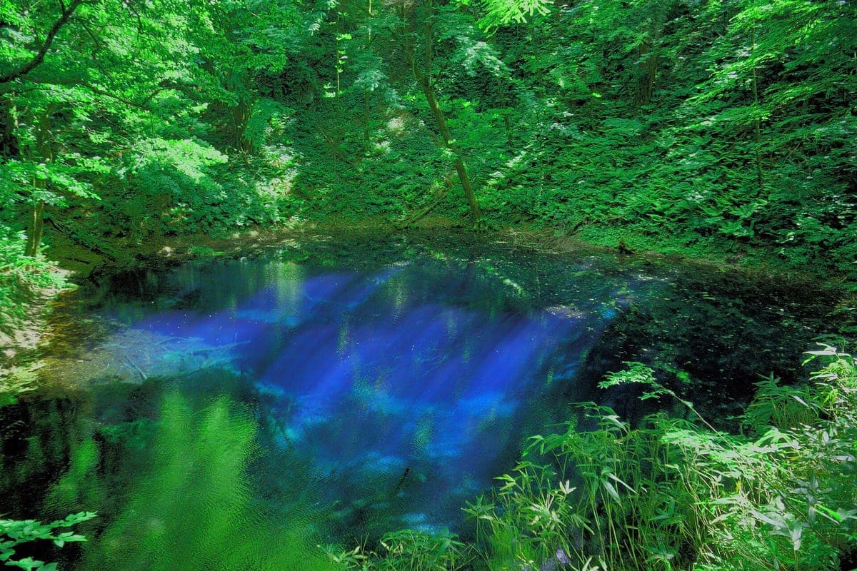 Shirakami-Sanchi