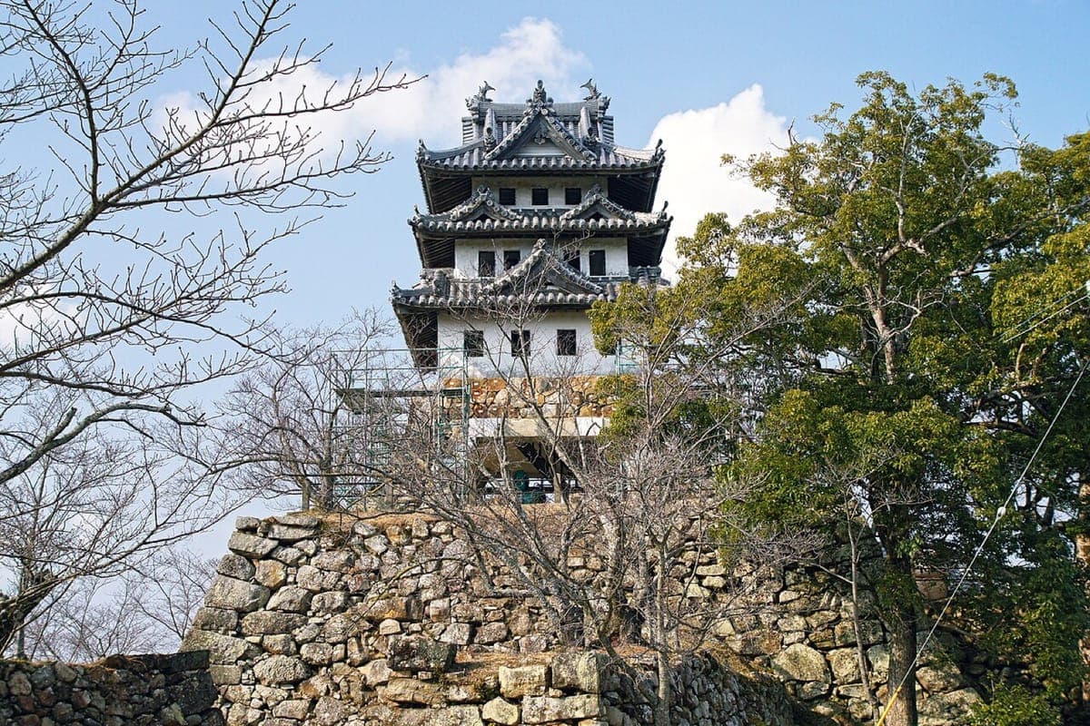 Sumoto Castle Ruins