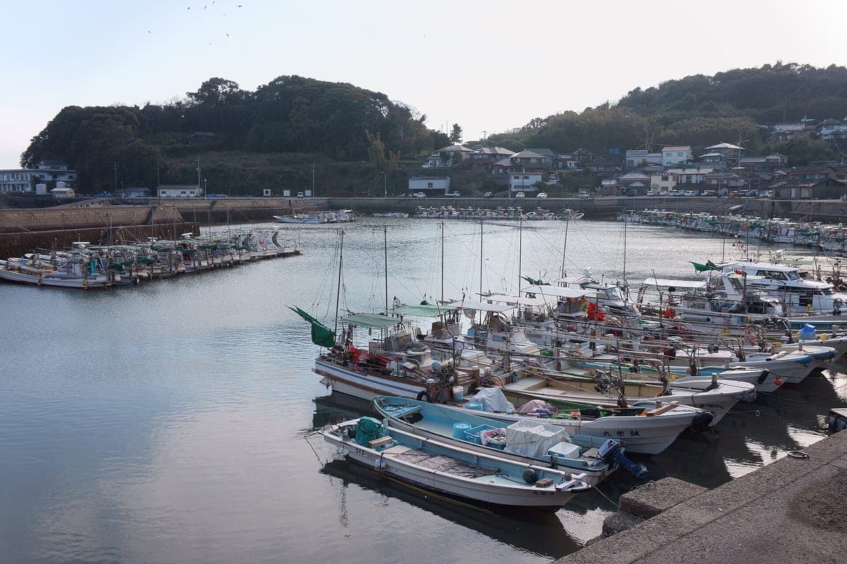 Takezaki Crab Port