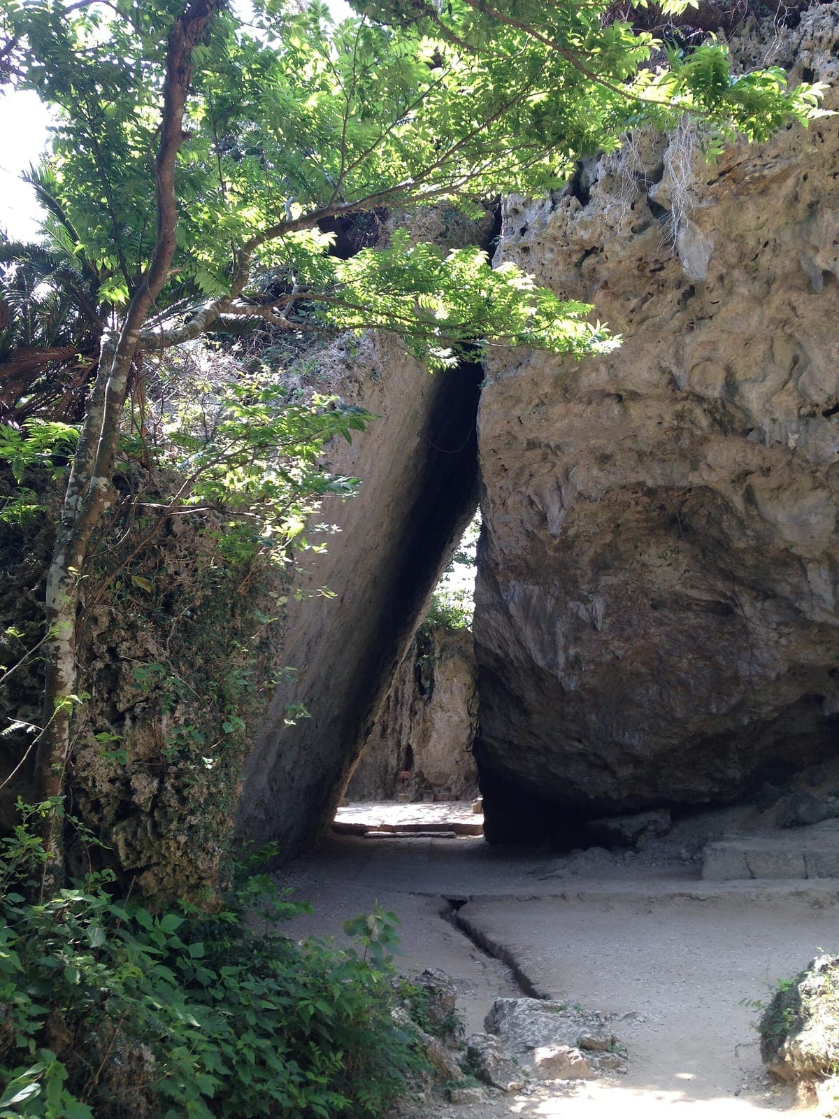 Seifa Utaki Sacred Grove