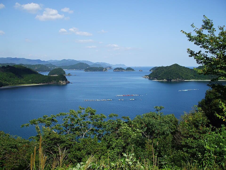 Kii Nagashima