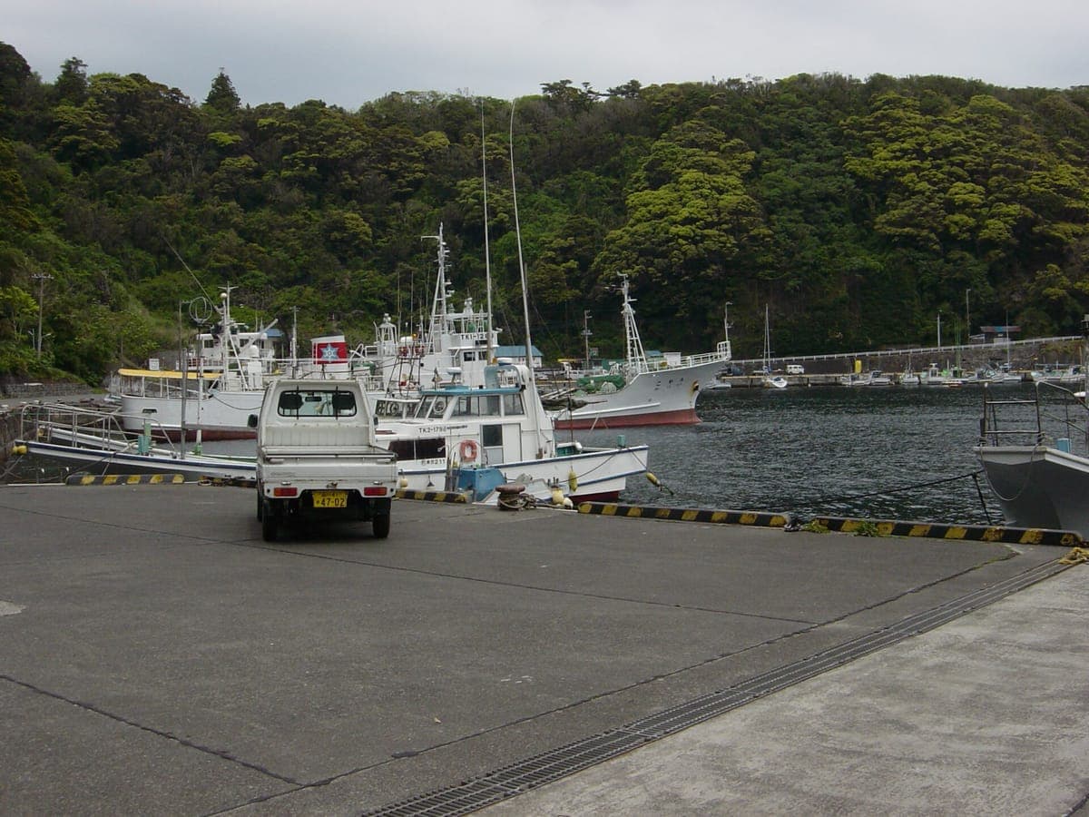 Habu Port