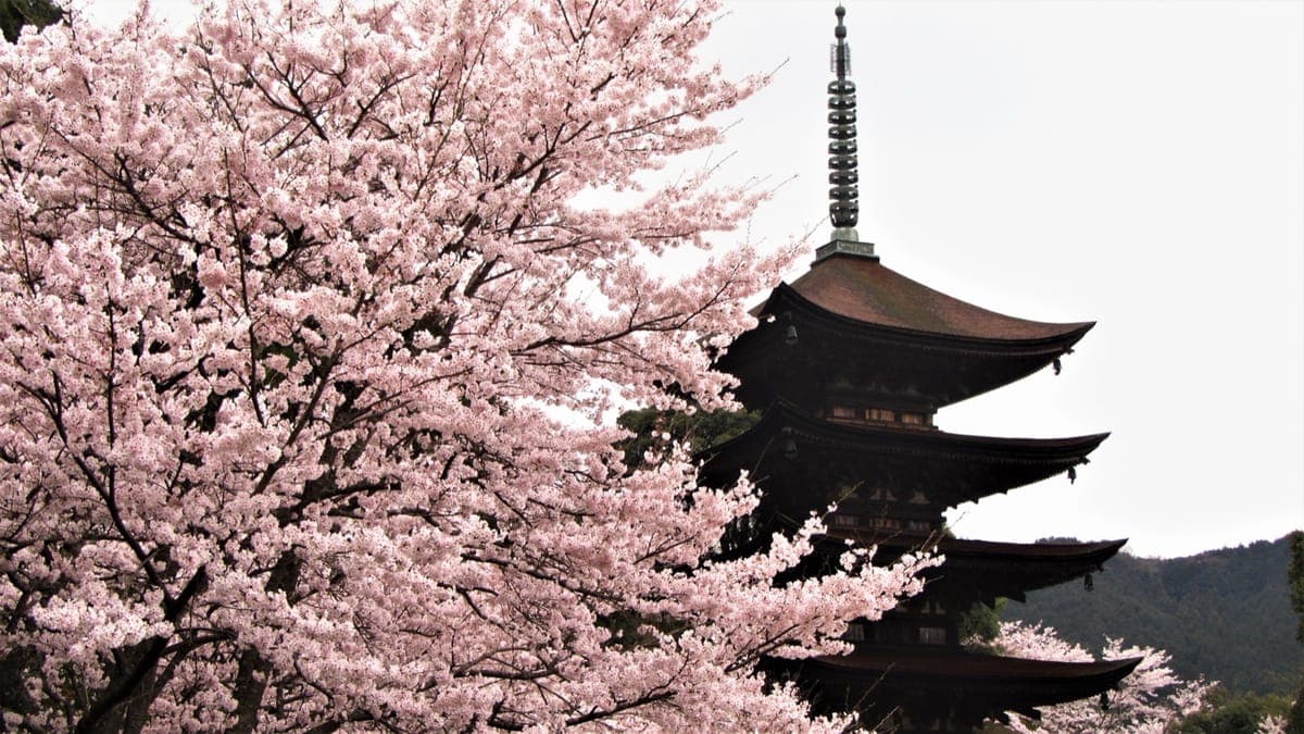 Rurikoji Temple (Five-Story Pagoda)