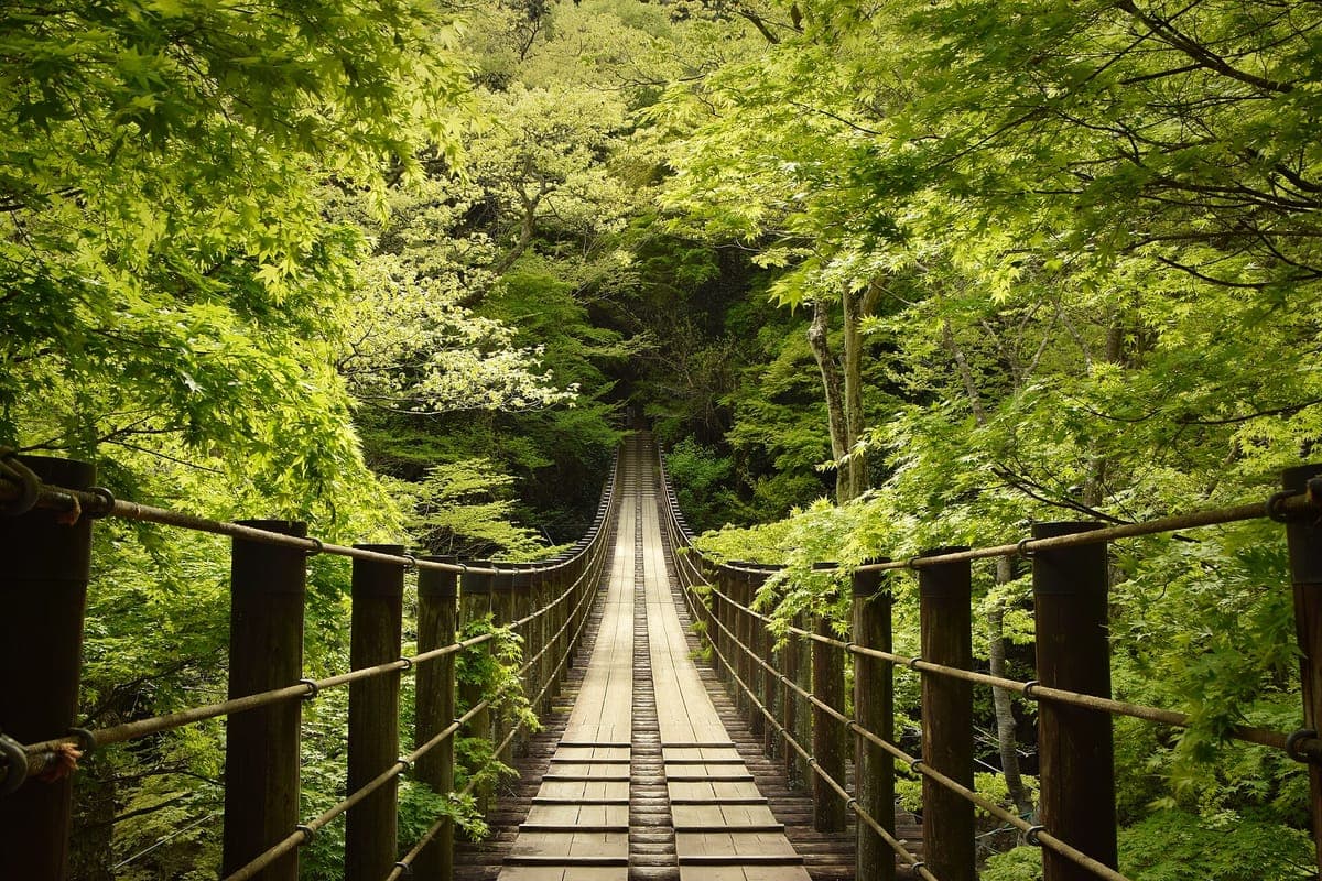 Hananuki Gorge