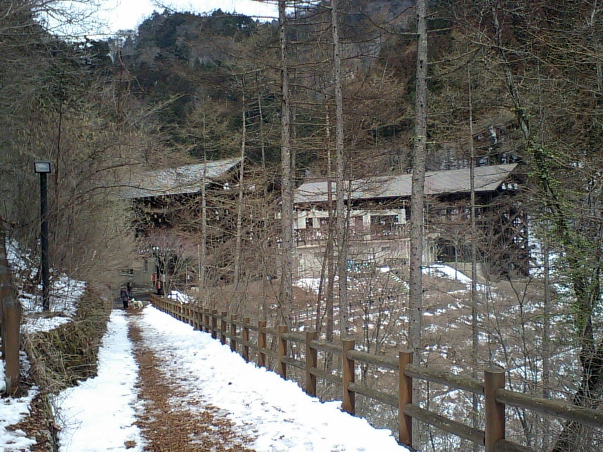Hinohara Citizen Forest