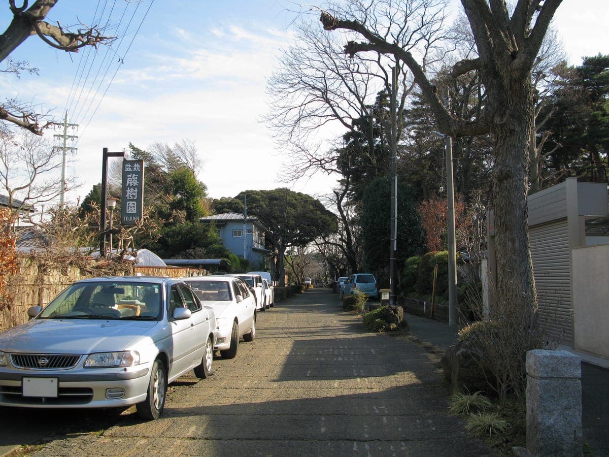 Omiya Bonsai Village