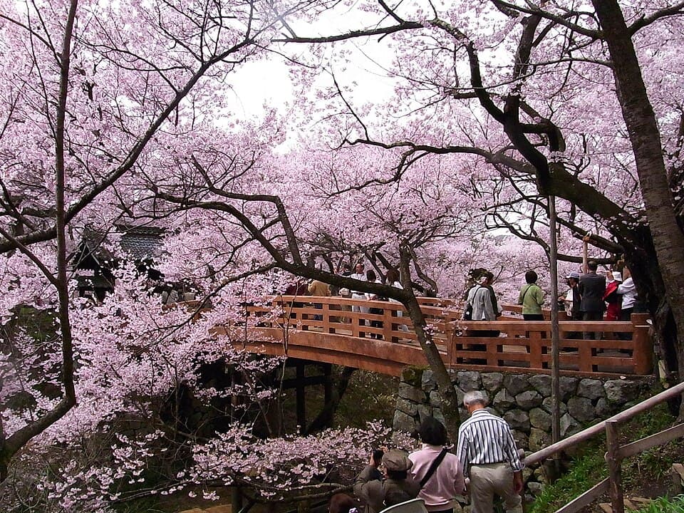 Shinshu Takato Castle Ruins