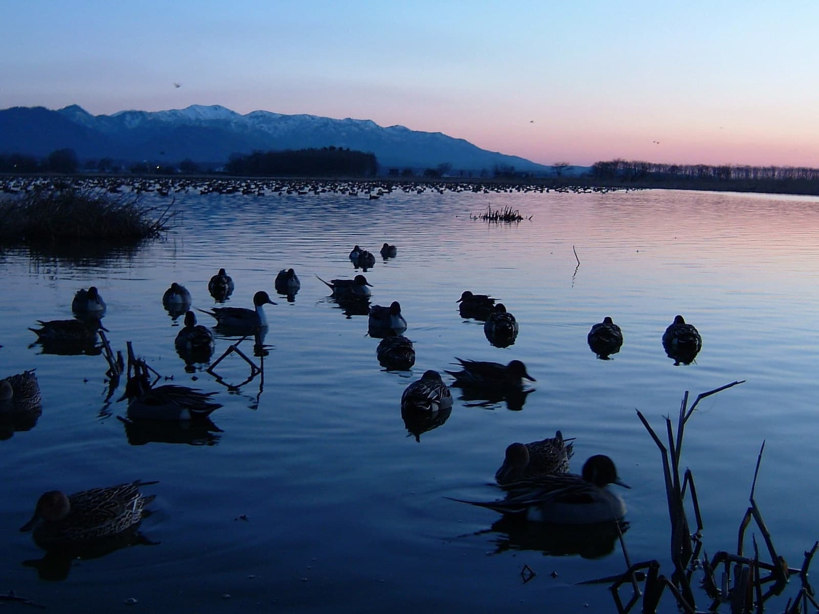Bibai Miyajima Wetland