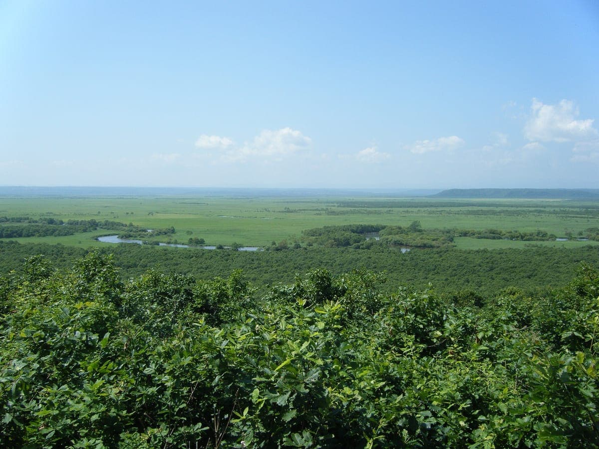 Kushiro Shitsugen National Park