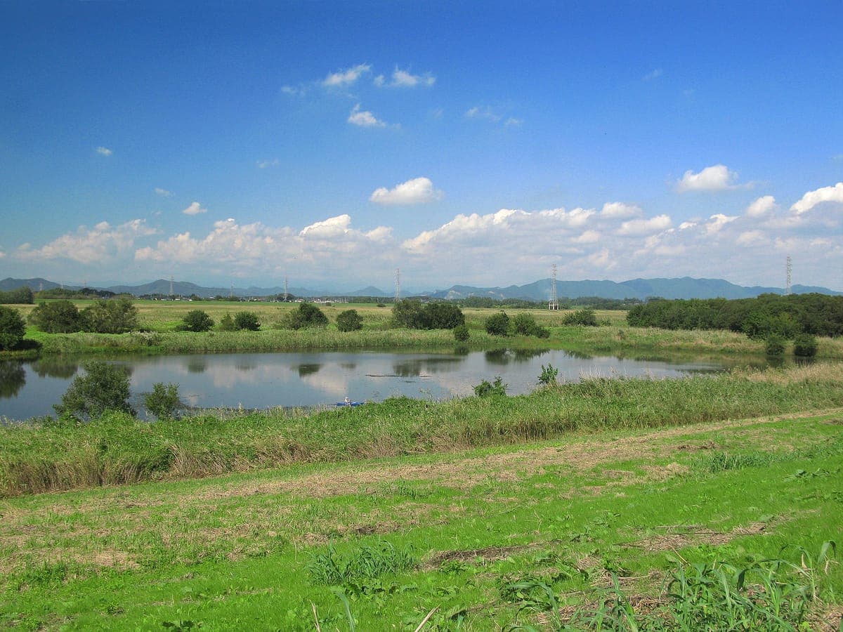 Watarase Retarding Basin
