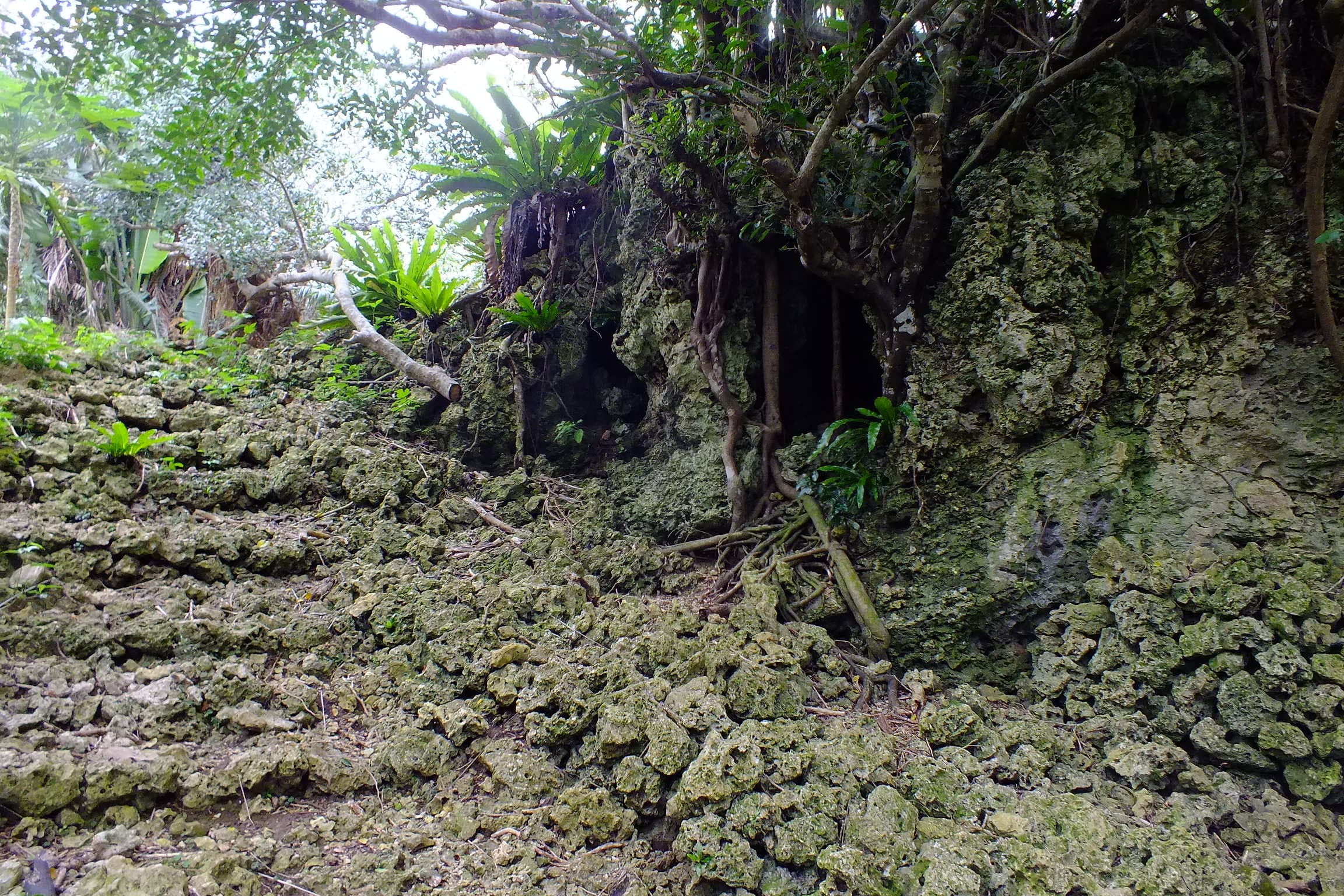 Shimotabaru Castle Ruins (Buribuchi Park)