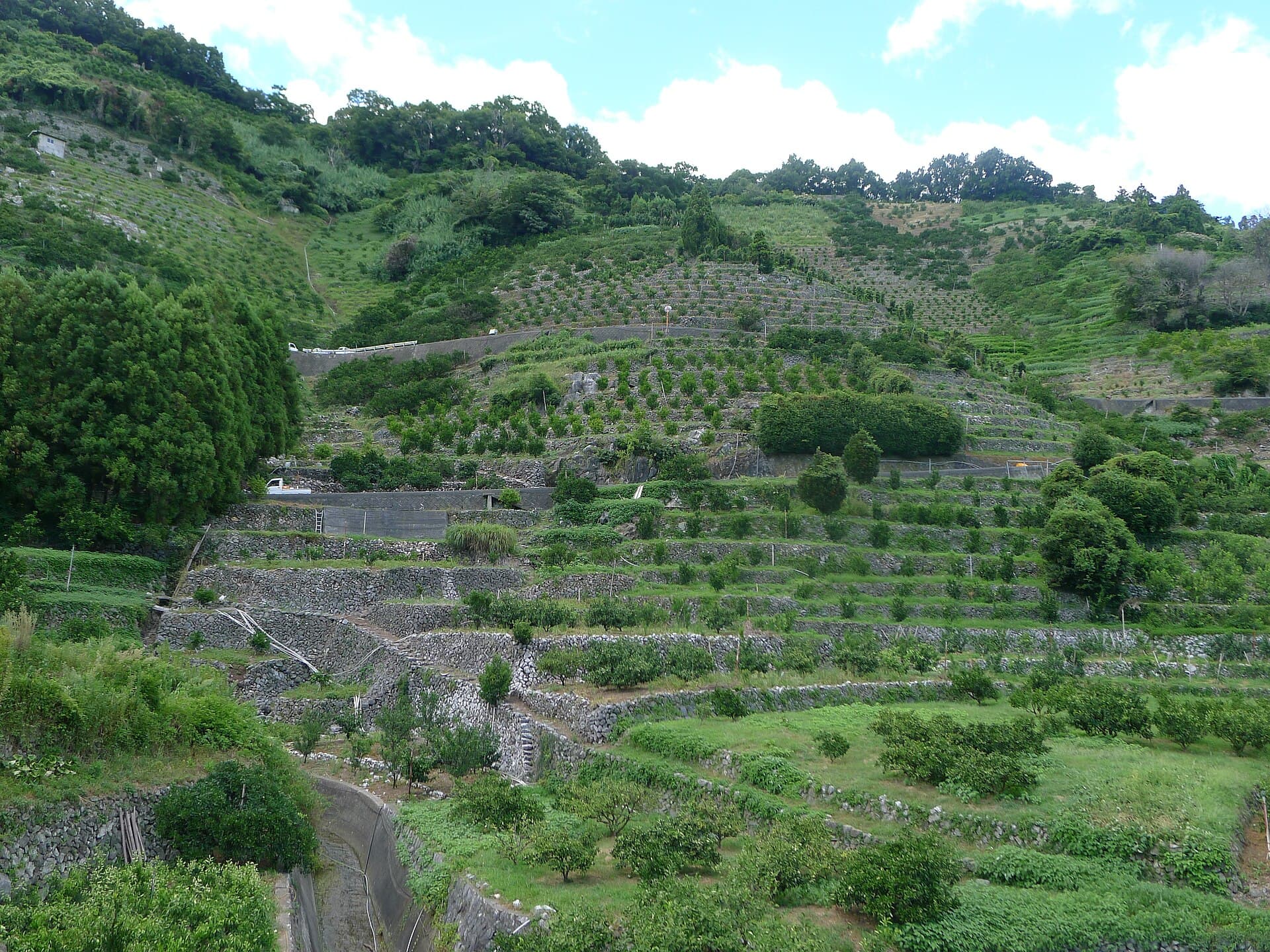 Karihama Terraced Fields