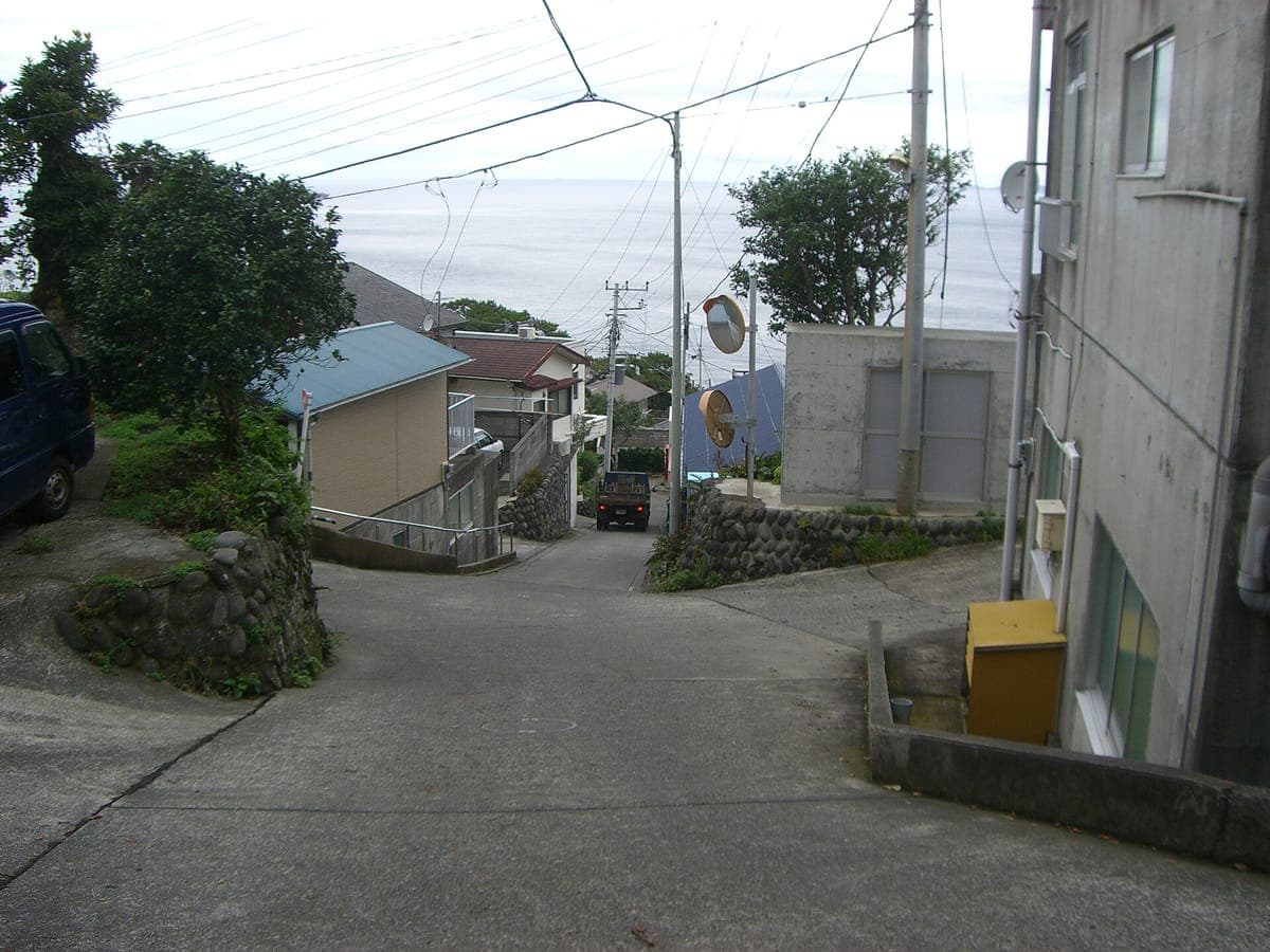 Toshima Camellia Island