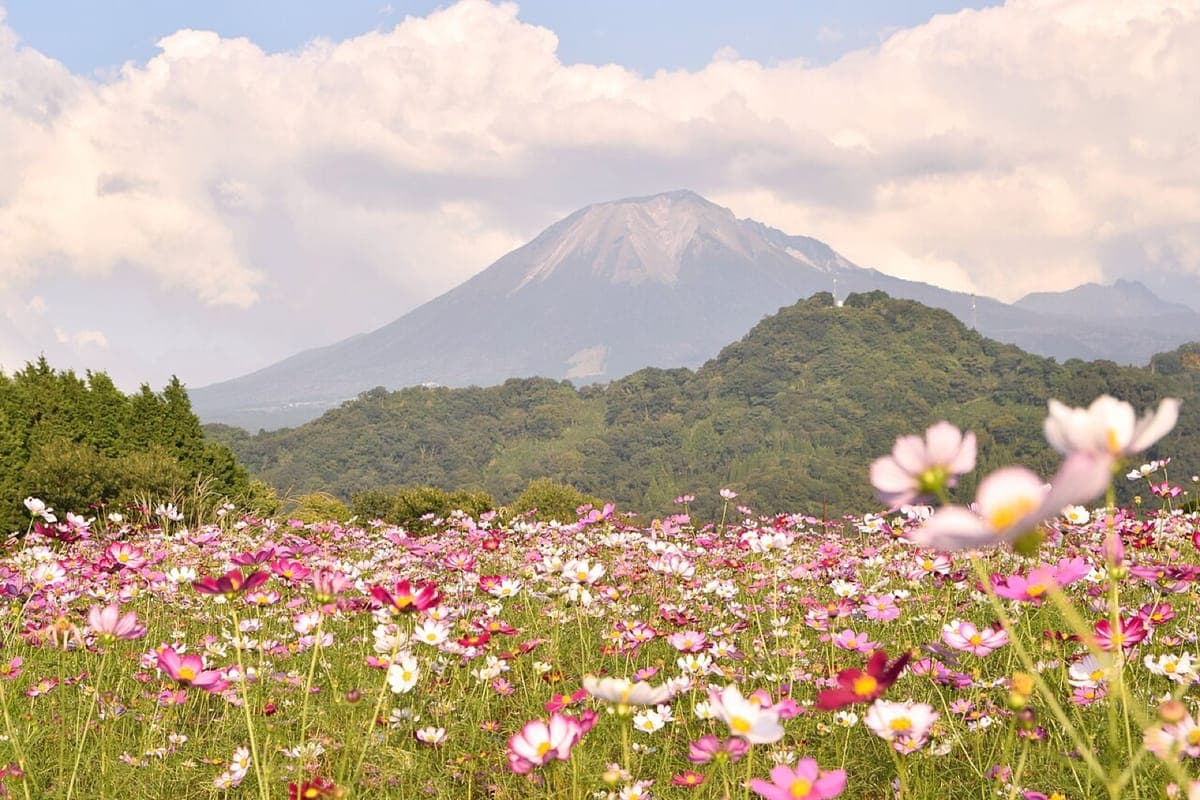 Tottori Prefectural Flower Park
