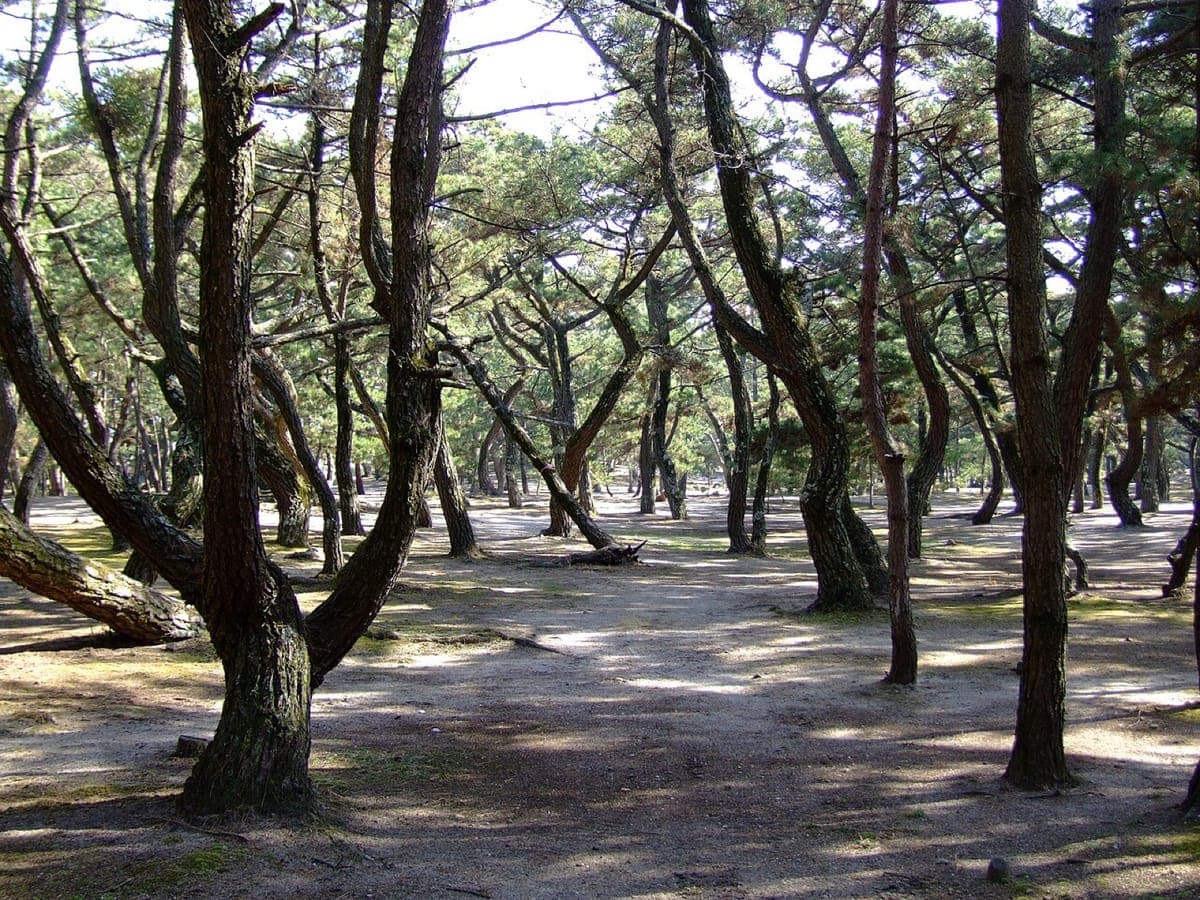 Keino Matsubara Beach