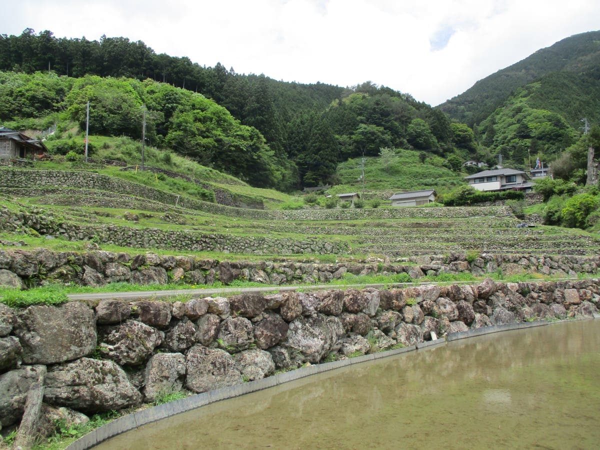 Kanzaiko Senmaida Rice Terraces