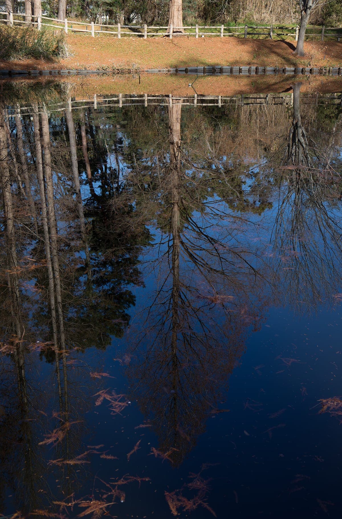 Nagai Park