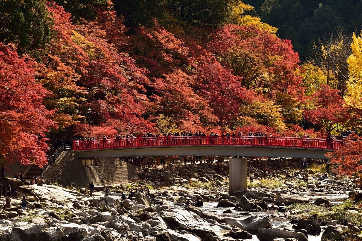 Asuke Mountain Town
