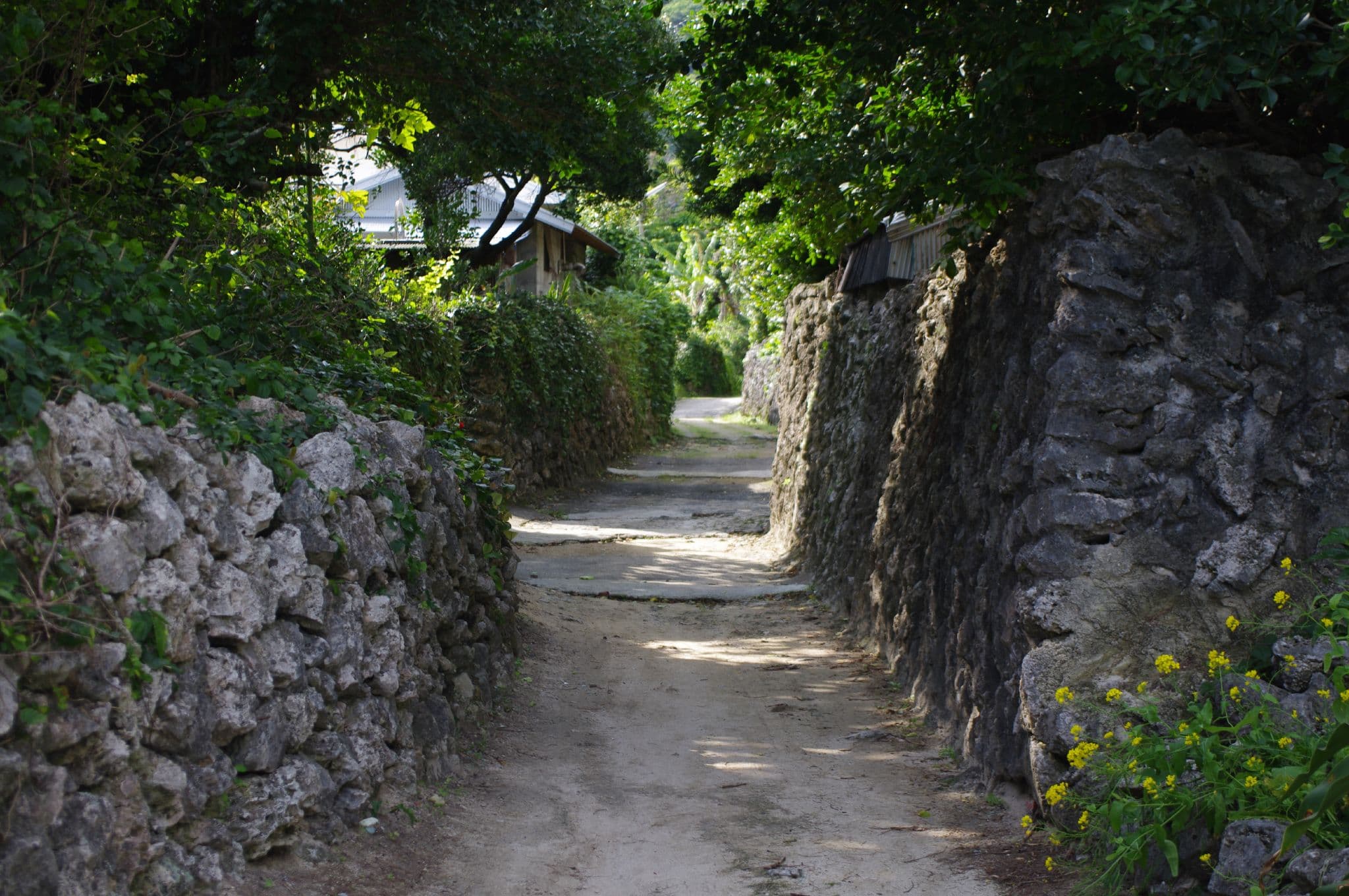 Aden Village Coral Stone Walls