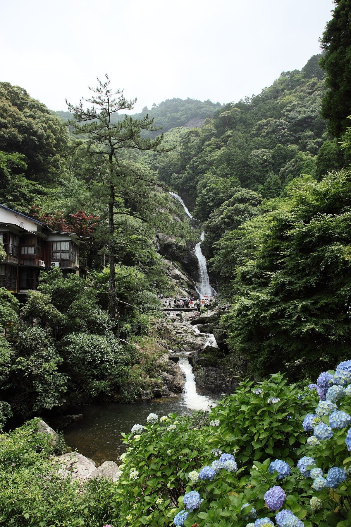 Mikaeri Falls