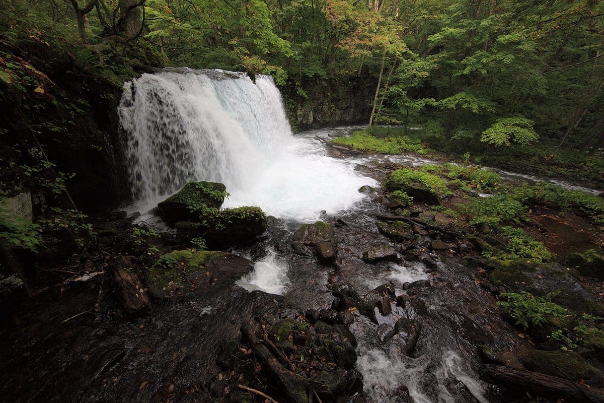 Oirase Mountain Stream