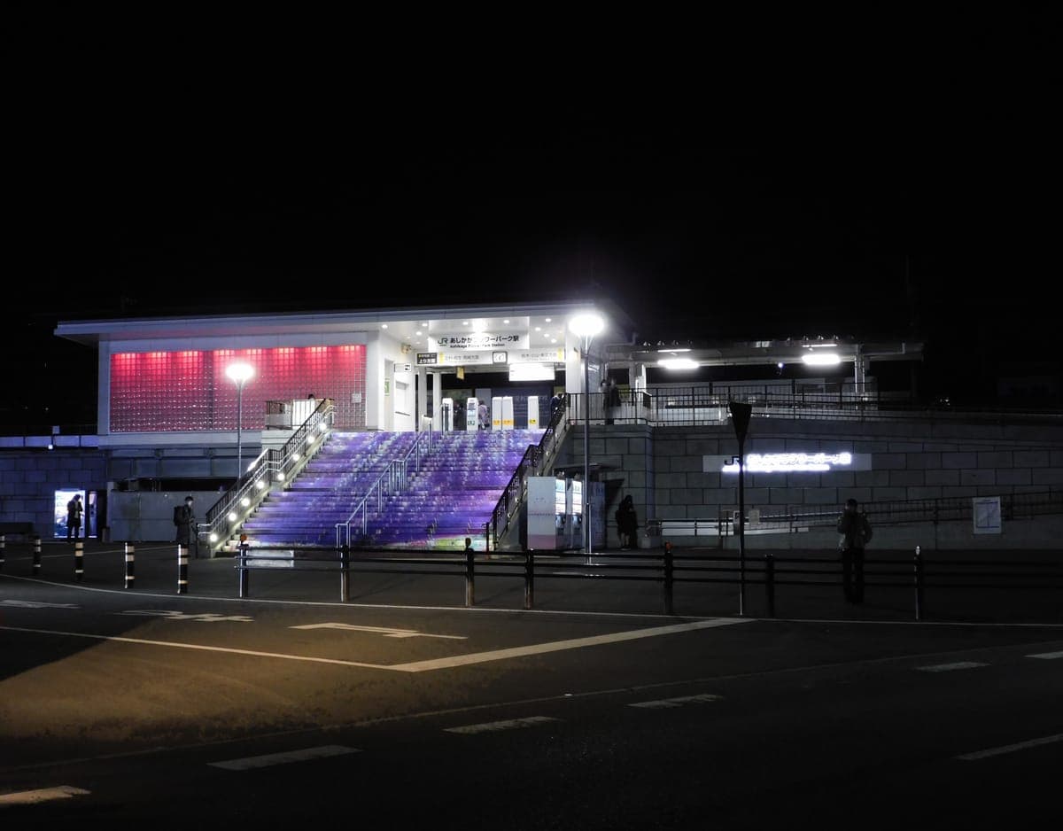 Ashikaga Flower Park Winter Illumination