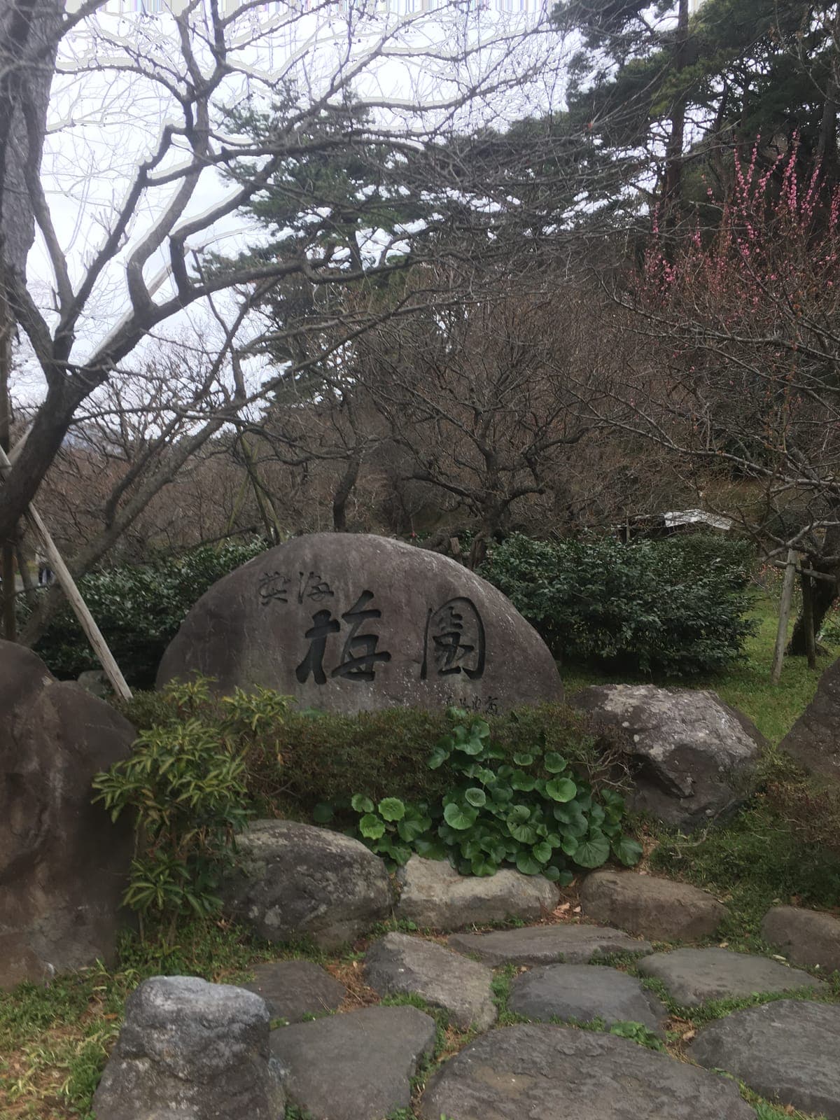 Atami Plum Garden