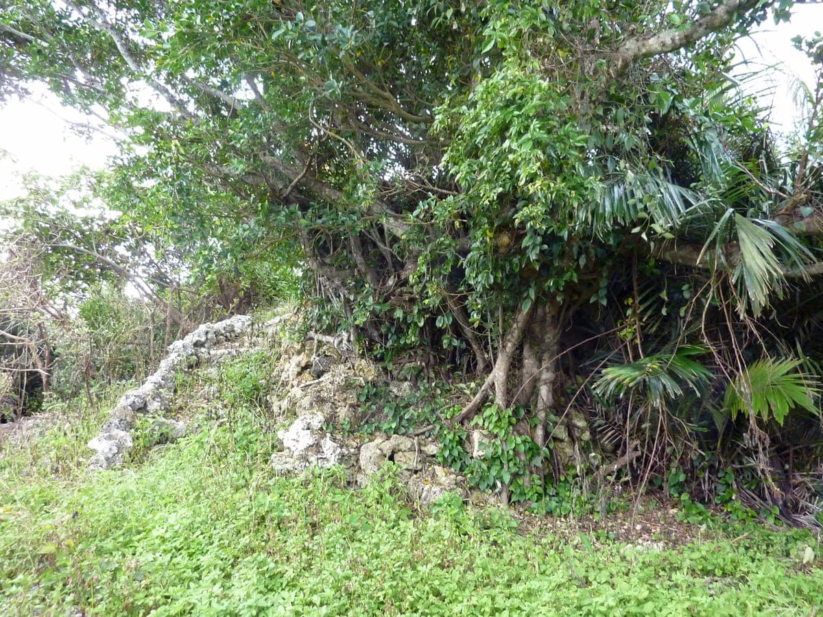 Miyakojima City Tropical Plant Garden
