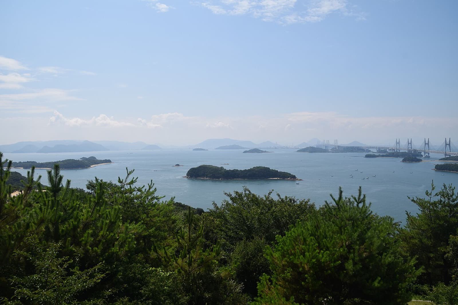 Mount Washu / Washuzan Viewpoint