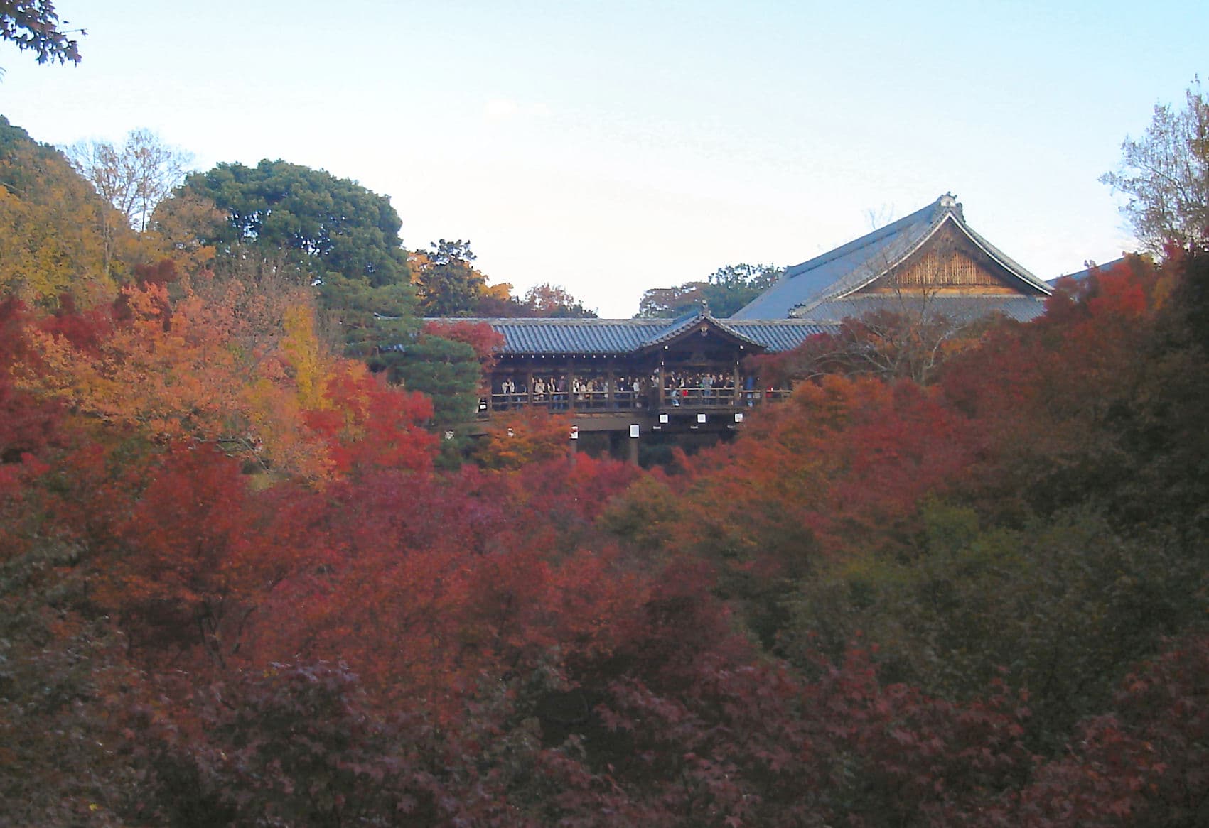 Tofuku-ji Temple