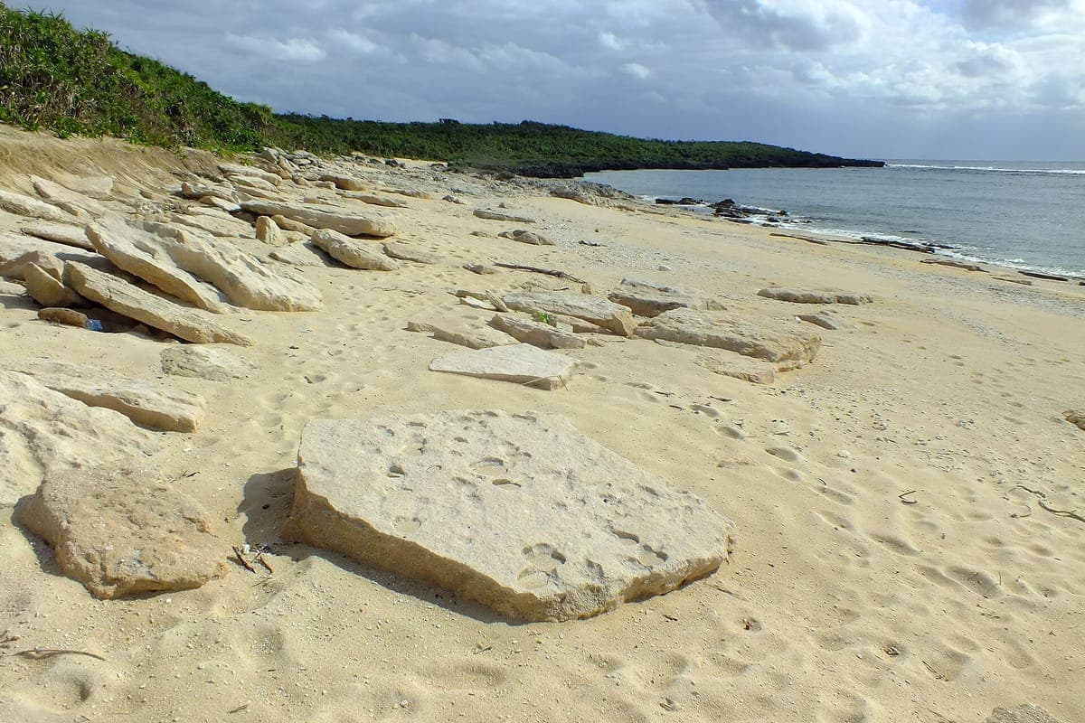 Pemuchi Beach