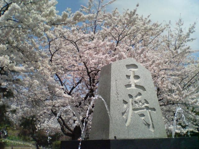 Tendo Park (Maizuruyama, Tendo Castle Ruins)