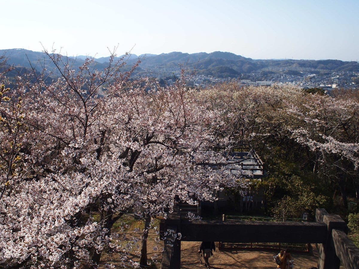 Kinugasa Yama Park
