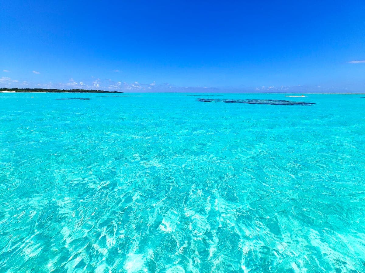 Yoron Island Coral