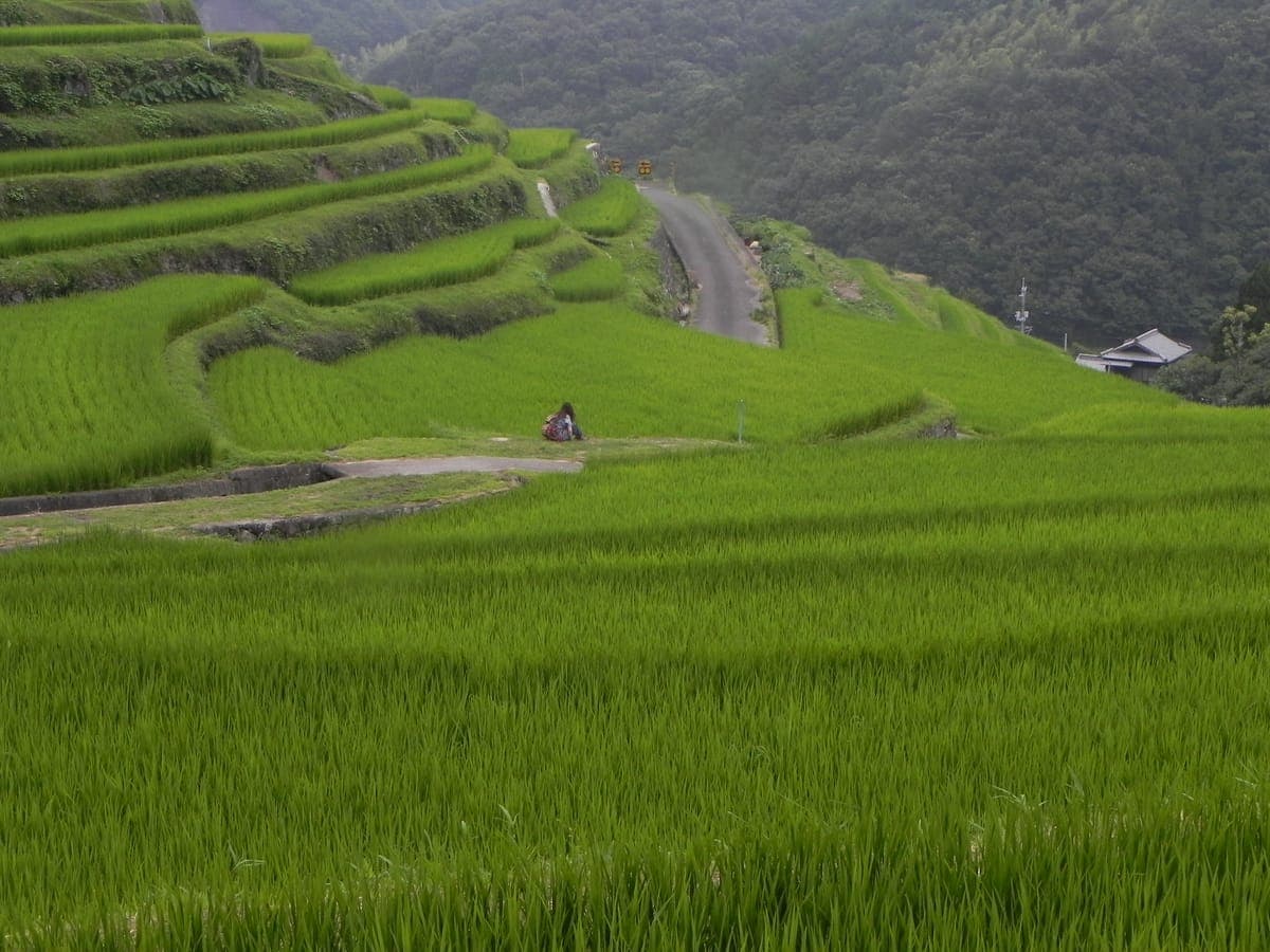 Nakayama Senmaida